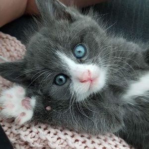 Meet your Posher, Kamila